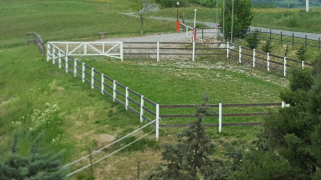 Allevamento B&B Pozzol Groppo المظهر الخارجي الصورة